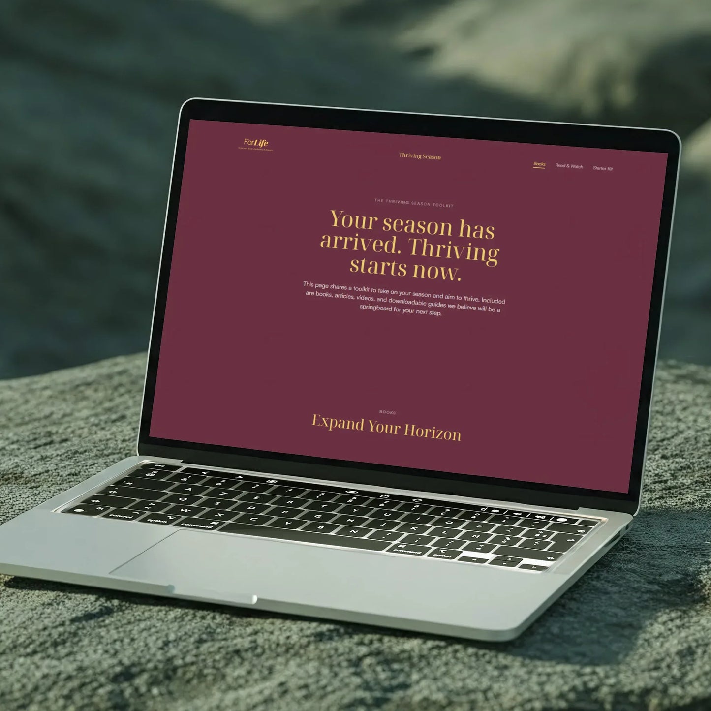 Dare to Dream + Thriving Season Digital Personal Growth Bundle